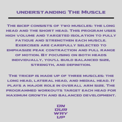 Total Arm Workout Program