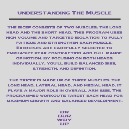 Total Arm Workout Program