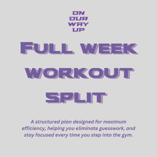 Workout program
fitness program
online trainer